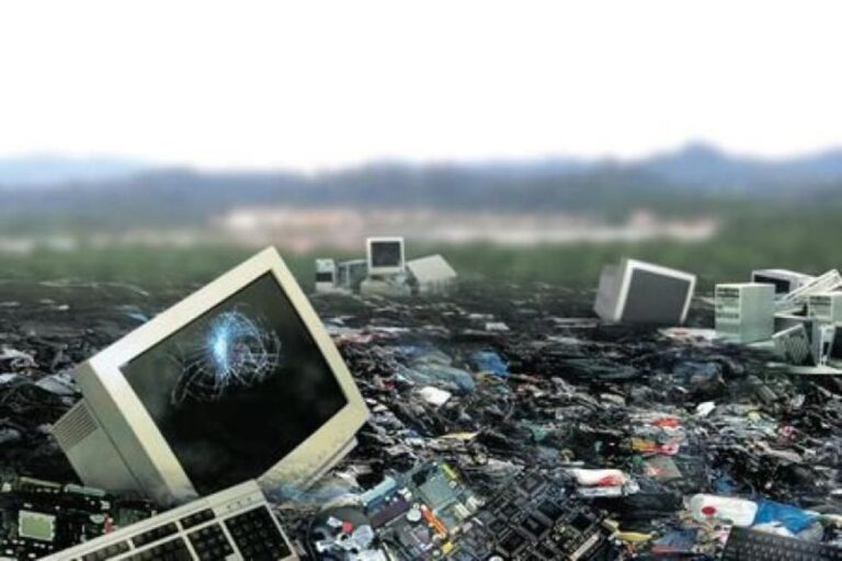 Digital Waste Management Businesses